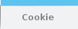 informativa su i cookie